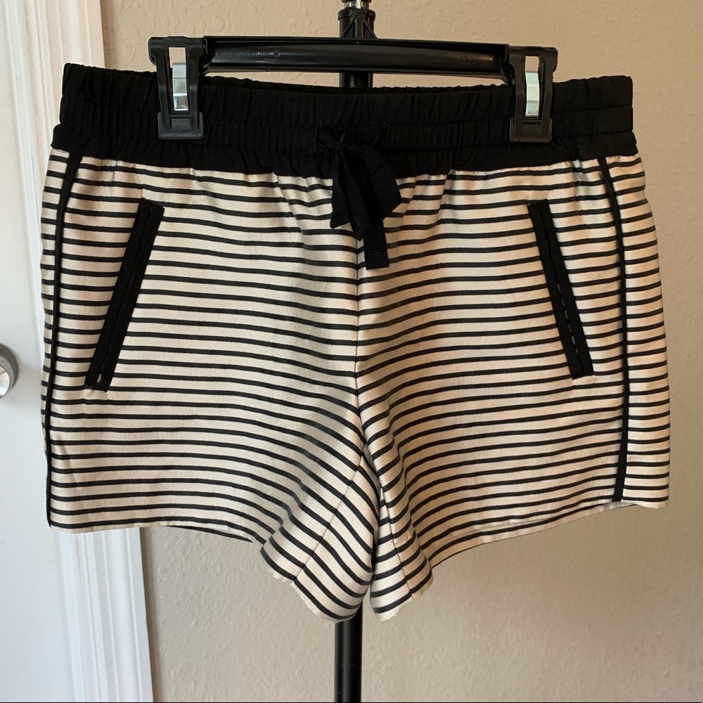 Ann Taylor LOFT shorts